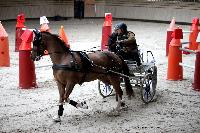 Photo n 43463&#10;Indoor Deauville 2018. Photo N. TOUDIC&#10;Daniel DEFEZ&#10;Affiche 8 fois&#10;Ajoute le 22/03/2018 15:30:06 par Nadinetoudic&#10;&#10;--> Cliquer pour agrandir <--