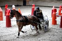 Photo n° 43463
Indoor Deauville 2018. Photo N. TOUDIC
Daniel DEFEZ
Affichée 6 fois
Ajoutée le 22/03/2018 15:30:06 par Nadinetoudic

--> Cliquer pour agrandir <--