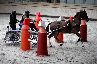 Photo n 43464&#10;Indoor Deauville 2018. Photo N. TOUDIC&#10;Daniel DEFEZ&#10;Affiche 6 fois&#10;Ajoute le 22/03/2018 15:30:06 par Nadinetoudic&#10;&#10;--> Cliquer pour agrandir <--