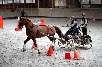 Photo n 43465&#10;Indoor Deauville 2018. Photo N. TOUDIC&#10;Charline LE NOUAILLE&#10;Affiche 17 fois&#10;Ajoute le 22/03/2018 15:30:07 par Nadinetoudic&#10;&#10;--> Cliquer pour agrandir <--