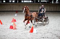 Photo n 43466&#10;Indoor Deauville 2018. Photo N. TOUDIC&#10;Charline LE NOUAILLE&#10;Affiche 11 fois&#10;Ajoute le 22/03/2018 15:30:07 par Nadinetoudic&#10;&#10;--> Cliquer pour agrandir <--