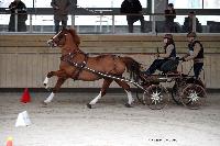 Photo n 43467&#10;Indoor Deauville 2018. Photo N. TOUDIC&#10;Charline LE NOUAILLE&#10;Affiche 22 fois&#10;Ajoute le 22/03/2018 15:30:07 par Nadinetoudic&#10;&#10;--> Cliquer pour agrandir <--