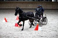 Photo n 43468&#10;Indoor Deauville 2018. Photo N. TOUDIC&#10;Johnny GAFFE&#10;Affiche 11 fois&#10;Ajoute le 22/03/2018 15:30:07 par Nadinetoudic&#10;&#10;--> Cliquer pour agrandir <--