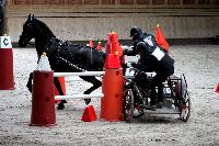 Photo n 43469&#10;Indoor Deauville 2018. Photo N. TOUDIC&#10;Johnny GAFFE&#10;Affiche 18 fois&#10;Ajoute le 22/03/2018 15:30:07 par Nadinetoudic&#10;&#10;--> Cliquer pour agrandir <--