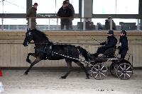 Photo n 43470&#10;Indoor Deauville 2018. Photo N. TOUDIC&#10;Johnny GAFFE&#10;Affiche 19 fois&#10;Ajoute le 22/03/2018 15:30:07 par Nadinetoudic&#10;&#10;--> Cliquer pour agrandir <--