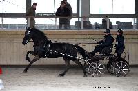 Photo n° 43470
Indoor Deauville 2018. Photo N. TOUDIC
Johnny GAFFE
Affichée 18 fois
Ajoutée le 22/03/2018 15:30:07 par Nadinetoudic

--> Cliquer pour agrandir <--