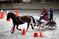 Photo n 43471&#10;Indoor Deauville 2018. Photo N. TOUDIC&#10;Eric LAVILLE&#10;Affiche 14 fois&#10;Ajoute le 22/03/2018 15:30:07 par Nadinetoudic&#10;&#10;--> Cliquer pour agrandir <--