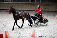 Photo n 43474&#10;Indoor Deauville 2018. Photo N. TOUDIC&#10;Marc CLAEYSSENS&#10;Affiche 7 fois&#10;Ajoute le 22/03/2018 15:30:07 par Nadinetoudic&#10;&#10;--> Cliquer pour agrandir <--