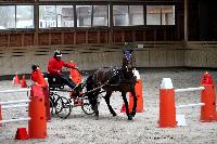 Photo n 43475&#10;Indoor Deauville 2018. Photo N. TOUDIC&#10;Marc CLAEYSSENS&#10;Affiche 10 fois&#10;Ajoute le 22/03/2018 15:30:07 par Nadinetoudic&#10;&#10;--> Cliquer pour agrandir <--