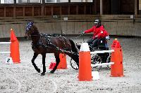 Photo n 43476&#10;Indoor Deauville 2018. Photo N. TOUDIC&#10;Marc CLAEYSSENS&#10;Affiche 8 fois&#10;Ajoute le 22/03/2018 15:30:07 par Nadinetoudic&#10;&#10;--> Cliquer pour agrandir <--
