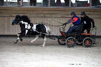 Photo n 43479&#10;Indoor Deauville 2018. Photo N. TOUDIC&#10;Nicolas DUVAL&#10;Affiche 9 fois&#10;Ajoute le 22/03/2018 15:30:07 par Nadinetoudic&#10;&#10;--> Cliquer pour agrandir <--
