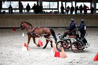 Photo n° 43480
Indoor Deauville 2018. Photo N. TOUDIC
Thierry GOUPIL
Affichée 6 fois
Ajoutée le 22/03/2018 15:30:07 par Nadinetoudic

--> Cliquer pour agrandir <--