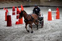 Photo n 43481&#10;Indoor Deauville 2018. Photo N. TOUDIC&#10;Thierry GOUPIL&#10;Affiche 10 fois&#10;Ajoute le 22/03/2018 15:30:07 par Nadinetoudic&#10;&#10;--> Cliquer pour agrandir <--