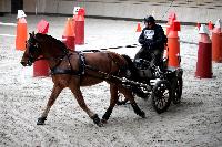 Photo n 43482&#10;Indoor Deauville 2018. Photo N. TOUDIC&#10;Thierry GOUPIL&#10;Affiche 9 fois&#10;Ajoute le 22/03/2018 15:30:07 par Nadinetoudic&#10;&#10;--> Cliquer pour agrandir <--