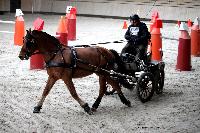 Photo n° 43482
Indoor Deauville 2018. Photo N. TOUDIC
Thierry GOUPIL
Affichée 8 fois
Ajoutée le 22/03/2018 15:30:07 par Nadinetoudic

--> Cliquer pour agrandir <--