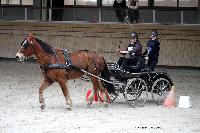 Photo n 43483&#10;Indoor Deauville 2018. Photo N. TOUDIC&#10;Marie VAUQUIER&#10;Affiche 12 fois&#10;Ajoute le 22/03/2018 15:30:07 par Nadinetoudic&#10;&#10;--> Cliquer pour agrandir <--
