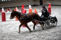 Photo n 43484&#10;Indoor Deauville 2018. Photo N. TOUDIC&#10;Marie VAUQUIER&#10;Affiche 16 fois&#10;Ajoute le 22/03/2018 15:30:08 par Nadinetoudic&#10;&#10;--> Cliquer pour agrandir <--