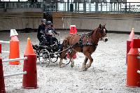 Photo n 43485&#10;Indoor Deauville 2018. Photo N. TOUDIC&#10;Marie VAUQUIER&#10;Affiche 12 fois&#10;Ajoute le 22/03/2018 15:30:08 par Nadinetoudic&#10;&#10;--> Cliquer pour agrandir <--