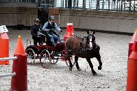Photo n 43487&#10;Indoor Deauville 2018. Photo N. TOUDIC&#10;Guylain TRANCHARD&#10;Affiche 15 fois&#10;Ajoute le 22/03/2018 15:30:08 par Nadinetoudic&#10;&#10;--> Cliquer pour agrandir <--