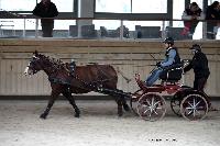 Photo n 43488&#10;Indoor Deauville 2018. Photo N. TOUDIC&#10;Guylain TRANCHARD&#10;Affiche 17 fois&#10;Ajoute le 22/03/2018 15:30:08 par Nadinetoudic&#10;&#10;--> Cliquer pour agrandir <--