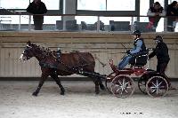 Photo n° 43488
Indoor Deauville 2018. Photo N. TOUDIC
Guylain TRANCHARD
Affichée 16 fois
Ajoutée le 22/03/2018 15:30:08 par Nadinetoudic

--> Cliquer pour agrandir <--