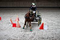 Photo n 43489&#10;Indoor Deauville 2018. Photo N. TOUDIC&#10;Auriane LAVICE&#10;Affiche 10 fois&#10;Ajoute le 22/03/2018 15:30:08 par Nadinetoudic&#10;&#10;--> Cliquer pour agrandir <--