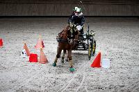 Photo n° 43489
Indoor Deauville 2018. Photo N. TOUDIC
Auriane LAVICE
Affichée 8 fois
Ajoutée le 22/03/2018 15:30:08 par Nadinetoudic

--> Cliquer pour agrandir <--