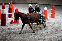 Photo n 43490&#10;Indoor Deauville 2018. Photo N. TOUDIC&#10;Auriane LAVICE&#10;Affiche 14 fois&#10;Ajoute le 22/03/2018 15:30:08 par Nadinetoudic&#10;&#10;--> Cliquer pour agrandir <--
