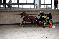Photo n 43491&#10;Indoor Deauville 2018. Photo N. TOUDIC&#10;Auriane LAVICE&#10;Affiche 18 fois&#10;Ajoute le 22/03/2018 15:30:08 par Nadinetoudic&#10;&#10;--> Cliquer pour agrandir <--