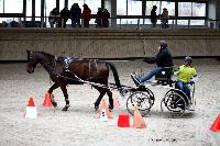 Photo n° 43492
Indoor Deauville 2018. Photo N. TOUDIC
Christine RENEAUX
Affichée 8 fois
Ajoutée le 22/03/2018 15:30:08 par Nadinetoudic

--> Cliquer pour agrandir <--