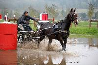 Photo n° 43638
Evreux 2018. Photo N. TOUDIC
Benoit VERNAY
Affichée 19 fois
Ajoutée le 12/04/2018 16:56:00 par Nadinetoudic

--> Cliquer pour agrandir <--