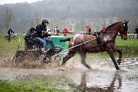 Photo n 43640&#10;Evreux 2018. Photo N. TOUDIC&#10;Yves PATAY&#10;Affiche 20 fois&#10;Ajoute le 12/04/2018 16:56:01 par Nadinetoudic&#10;&#10;--> Cliquer pour agrandir <--