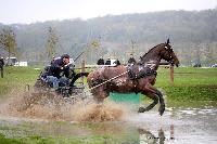 Photo n° 43642
Evreux 2018. Photo N. TOUDIC
Régis DROUAILLET
Affichée 27 fois
Ajoutée le 12/04/2018 16:56:01 par Nadinetoudic

--> Cliquer pour agrandir <--