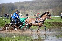 Photo n 43650&#10;Evreux 2018. Photo N. TOUDIC&#10;Yves GIBON&#10;Affiche 23 fois&#10;Ajoute le 12/04/2018 16:56:01 par Nadinetoudic&#10;&#10;--> Cliquer pour agrandir <--