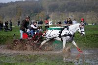 Photo n° 43651
Evreux 2018. Photo N. TOUDIC
Nathalie MARTY
Affichée 37 fois
Ajoutée le 12/04/2018 16:56:01 par Nadinetoudic

--> Cliquer pour agrandir <--