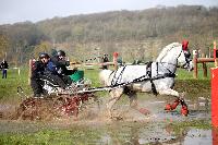 Photo n 43652&#10;Evreux 2018. Photo N. TOUDIC&#10;Lonard KRAUFFEL&#10;Affiche 19 fois&#10;Ajoute le 12/04/2018 16:56:01 par Nadinetoudic&#10;&#10;--> Cliquer pour agrandir <--