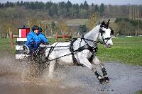 Photo n° 43653
Evreux 2018. Photo N. TOUDIC
Déborah DANEELS
Affichée 70 fois
Ajoutée le 12/04/2018 16:56:01 par Nadinetoudic

--> Cliquer pour agrandir <--