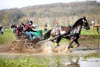 Photo n 43654&#10;Evreux 2018. Photo N. TOUDIC&#10;Johnny GAFFE&#10;Affiche 19 fois&#10;Ajoute le 12/04/2018 17:06:01 par Nadinetoudic&#10;&#10;--> Cliquer pour agrandir <--