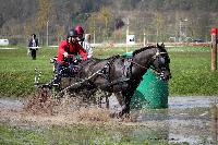 Photo n° 43657
Evreux 2018. Photo N. TOUDIC
Arthur MASSU
Affichée 26 fois
Ajoutée le 12/04/2018 17:06:01 par Nadinetoudic

--> Cliquer pour agrandir <--