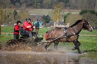 Photo n° 43662
Evreux 2018. Photo N. TOUDIC
Marc LAZCANO
Affichée 346 fois
Ajoutée le 12/04/2018 17:06:02 par Nadinetoudic

--> Cliquer pour agrandir <--