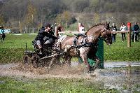 Photo n° 43663
Evreux 2018. Photo N. TOUDIC
David GUERIN
Affichée 19 fois
Ajoutée le 12/04/2018 17:06:02 par Nadinetoudic

--> Cliquer pour agrandir <--