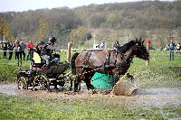 Photo n 43665&#10;Evreux 2018. Photo N. TOUDIC&#10;Pierre BERDIN&#10;Affiche 24 fois&#10;Ajoute le 12/04/2018 17:06:02 par Nadinetoudic&#10;&#10;--> Cliquer pour agrandir <--