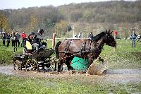 Photo n° 43665
Evreux 2018. Photo N. TOUDIC
Pierre BERDIN
Affichée 23 fois
Ajoutée le 12/04/2018 17:06:02 par Nadinetoudic

--> Cliquer pour agrandir <--