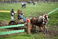 Photo n° 43669
Evreux 2018. Photo N. TOUDIC
Laurence JALADY
Affichée 14 fois
Ajoutée le 12/04/2018 17:06:02 par Nadinetoudic

--> Cliquer pour agrandir <--