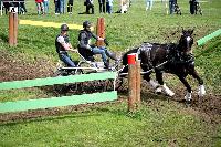 Photo n 43671&#10;Evreux 2018. Photo N. TOUDIC&#10;Romain HERVE&#10;Affiche 29 fois&#10;Ajoute le 13/04/2018 15:40:49 par Nadinetoudic&#10;&#10;--> Cliquer pour agrandir <--