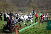 Photo n° 43674
Evreux 2018. Photo N. TOUDIC
Sophie POUGNET
Affichée 73 fois
Ajoutée le 13/04/2018 15:40:50 par Nadinetoudic

--> Cliquer pour agrandir <--