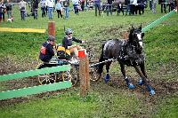 Photo n 43677&#10;Evreux 2018. Photo N. TOUDIC&#10;Sabine MIOSSEC de LARRARD&#10;Affiche 37 fois&#10;Ajoute le 13/04/2018 15:40:50 par Nadinetoudic&#10;&#10;--> Cliquer pour agrandir <--
