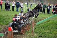 Photo n° 43681
Evreux 2018. Photo N. TOUDIC
Delphine DE JOTEMPS
Affichée 41 fois
Ajoutée le 13/04/2018 15:40:50 par Nadinetoudic

--> Cliquer pour agrandir <--