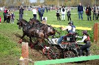 Photo n° 43684
Evreux 2018. Photo N. TOUDIC
Antoine JEANSON
Affichée 54 fois
Ajoutée le 13/04/2018 15:40:50 par Nadinetoudic

--> Cliquer pour agrandir <--