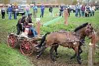 Photo n 43686&#10;Evreux 2018. Photo N. TOUDIC&#10;Laetitia MARICOURT&#10;Affiche 11 fois&#10;Ajoute le 13/04/2018 15:40:50 par Nadinetoudic&#10;&#10;--> Cliquer pour agrandir <--